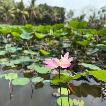 Huong Tram Homestay Ho Da Buitenkant foto
