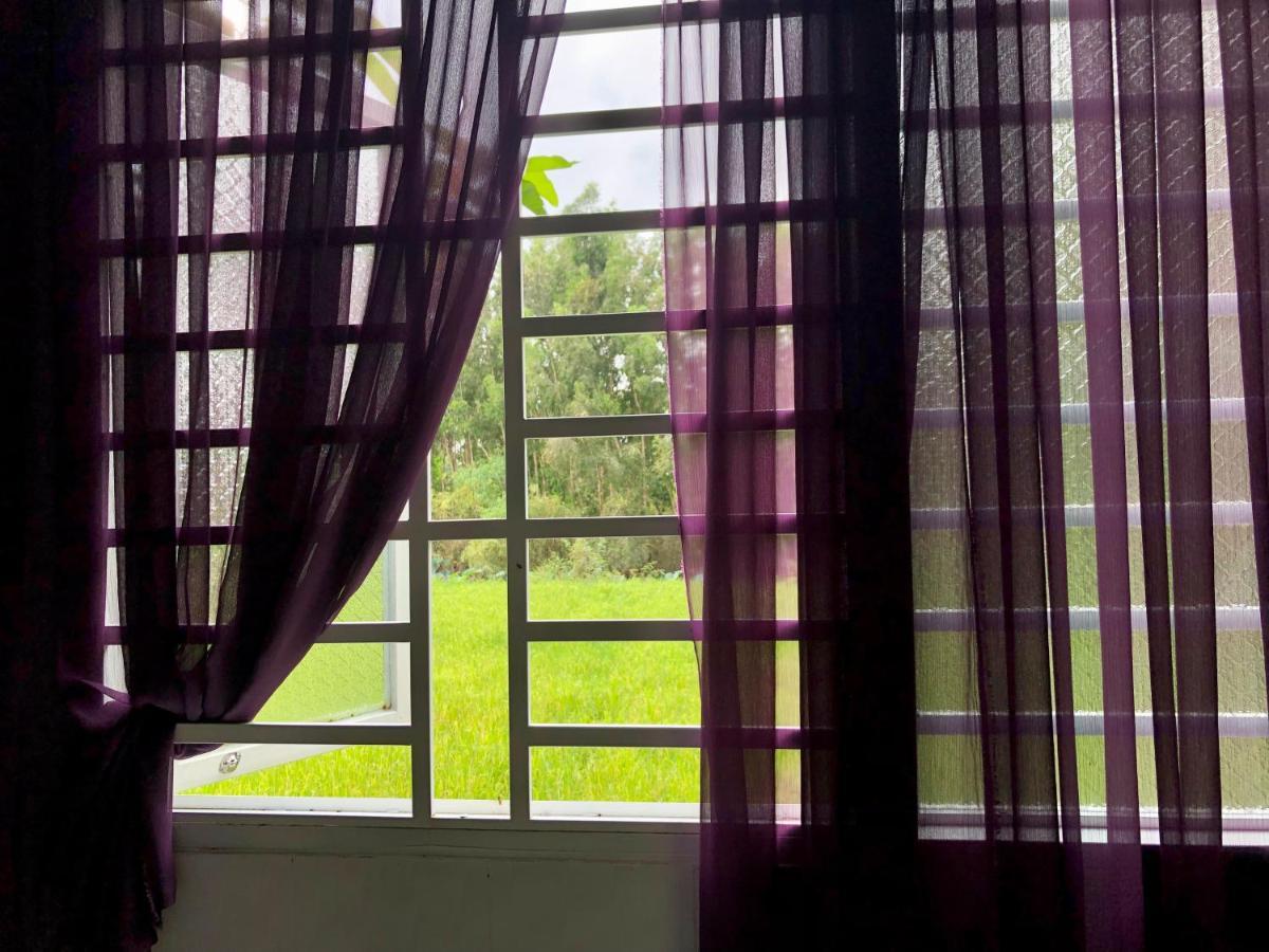 Huong Tram Homestay Ho Da Buitenkant foto
