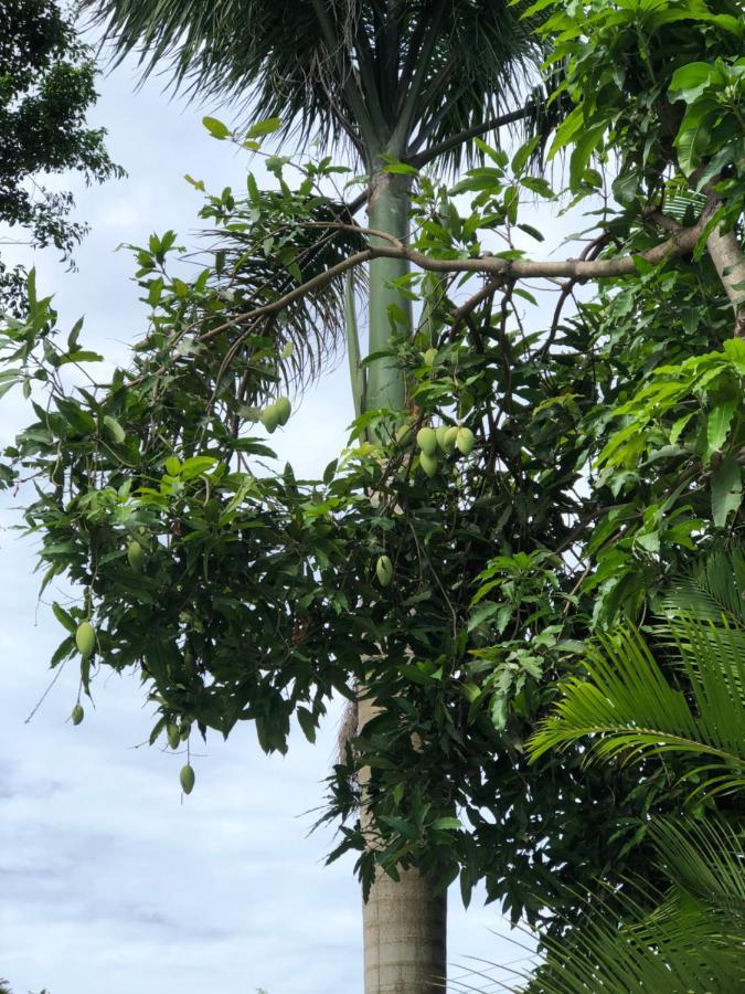 Huong Tram Homestay Ho Da Buitenkant foto