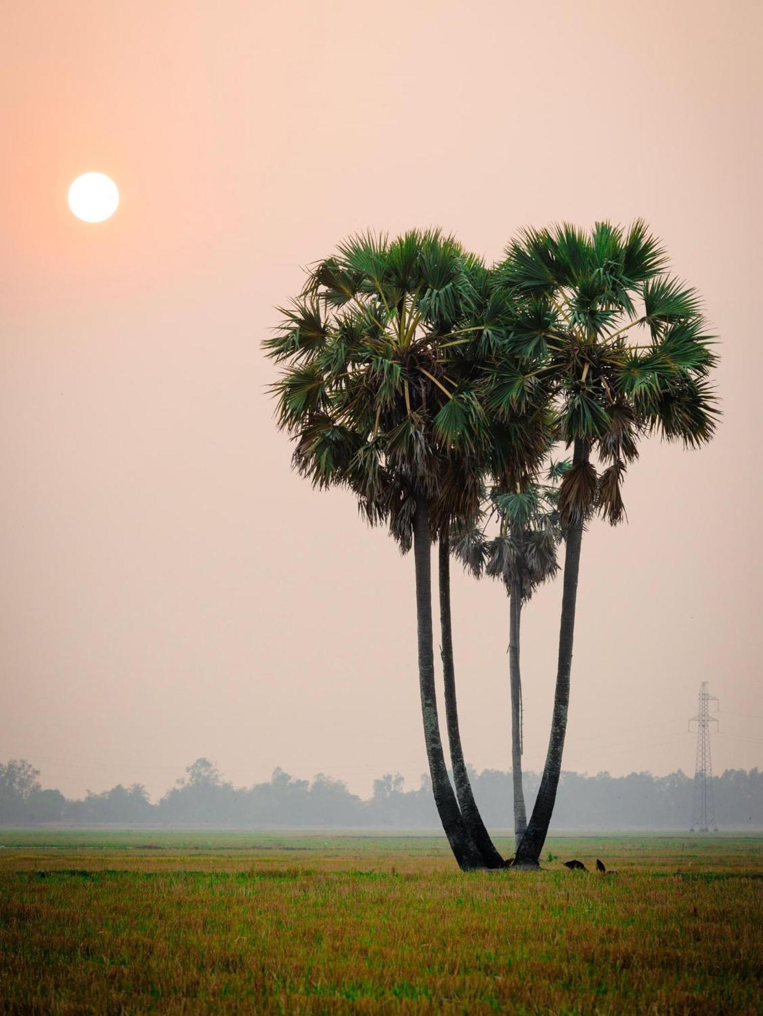 Huong Tram Homestay Ho Da Buitenkant foto
