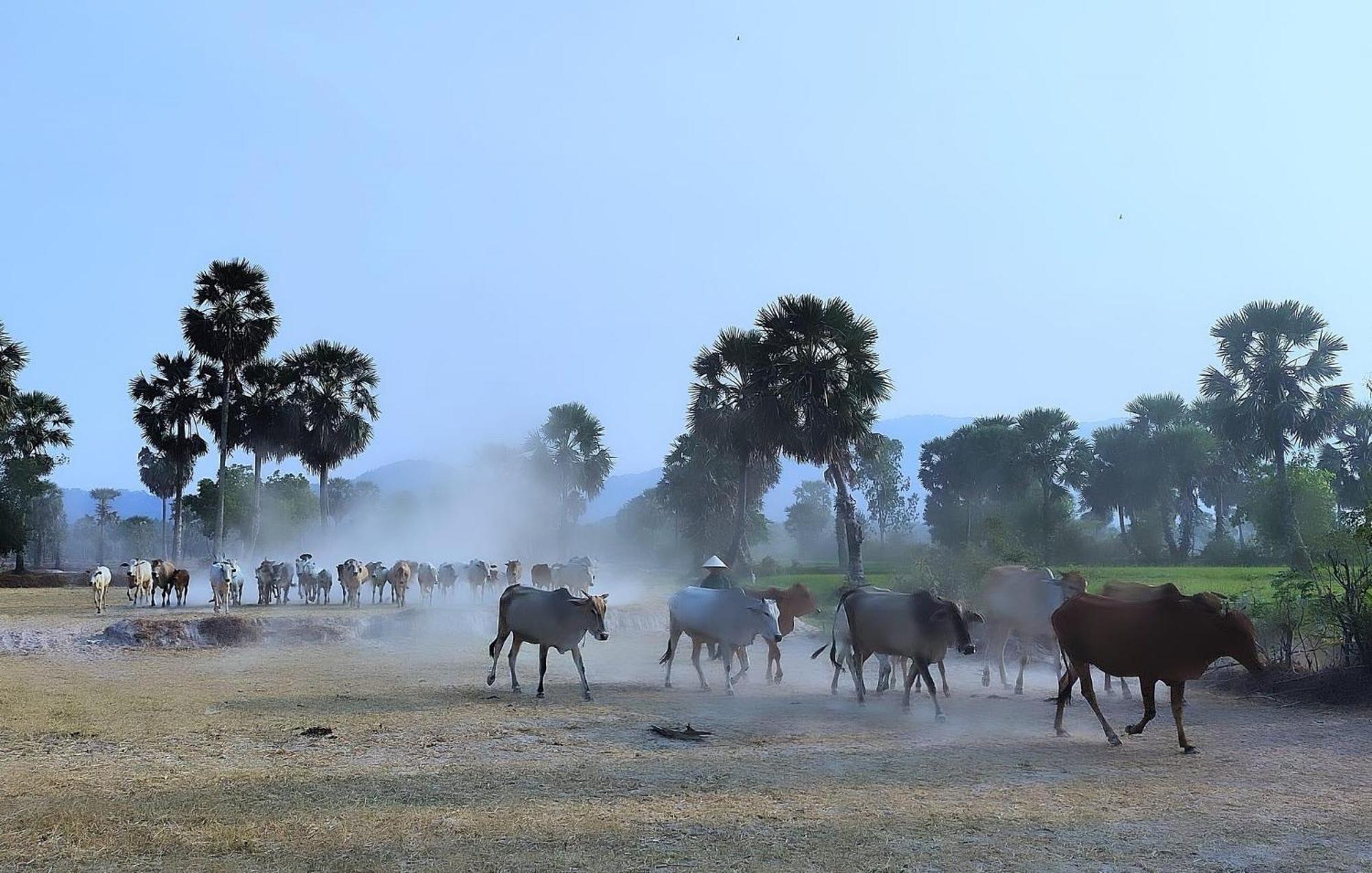 Huong Tram Homestay Ho Da Buitenkant foto