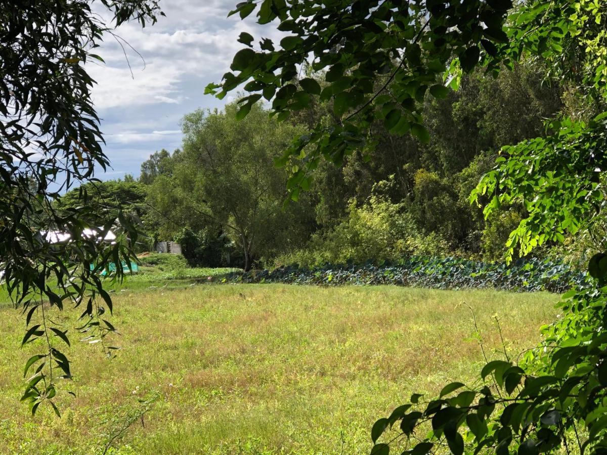 Huong Tram Homestay Ho Da Buitenkant foto