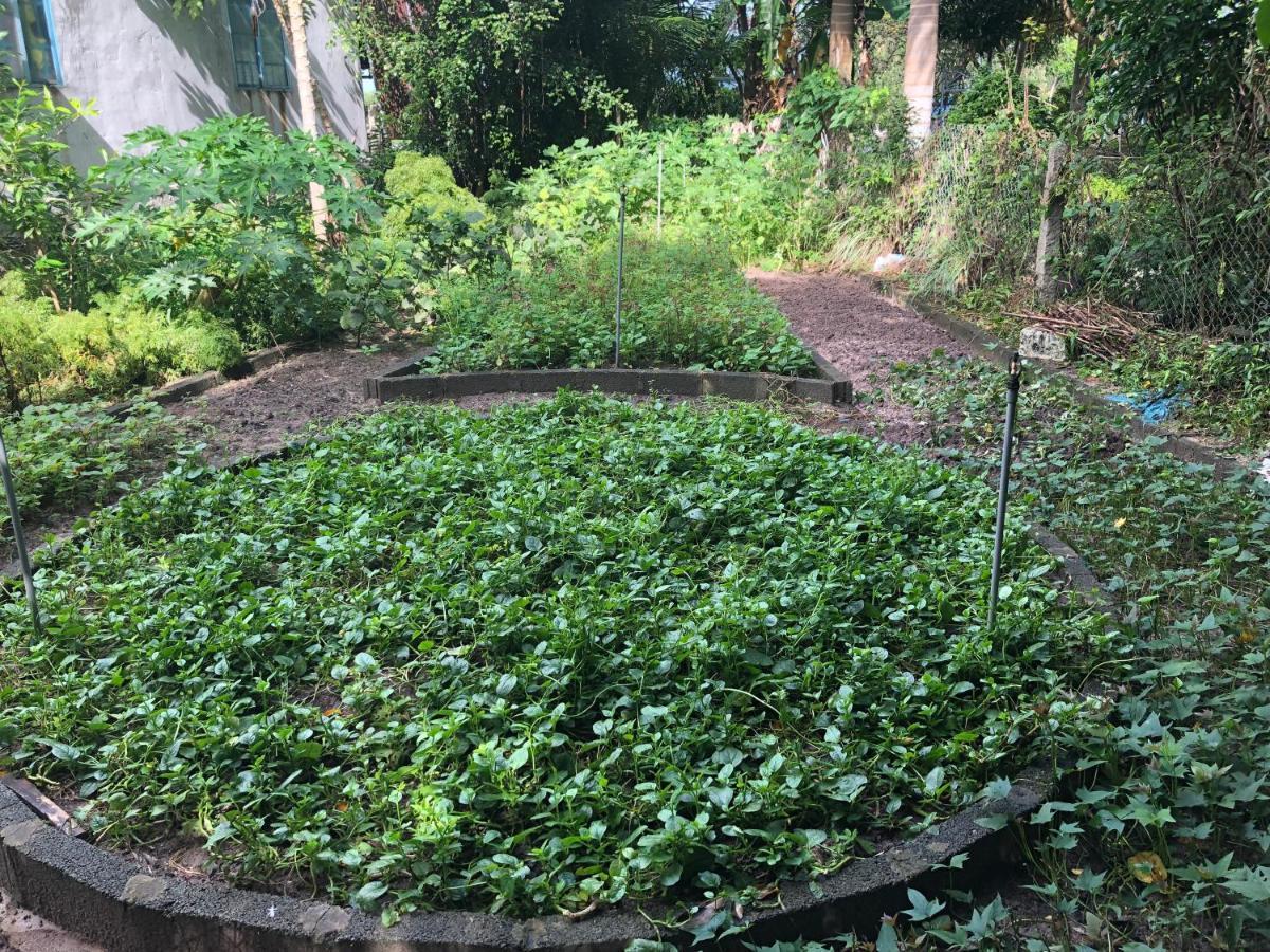 Huong Tram Homestay Ho Da Buitenkant foto